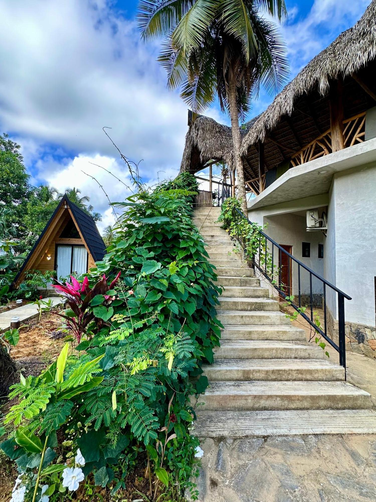 Leisy'S Garden Hostel & Rooms Samana 외부 사진