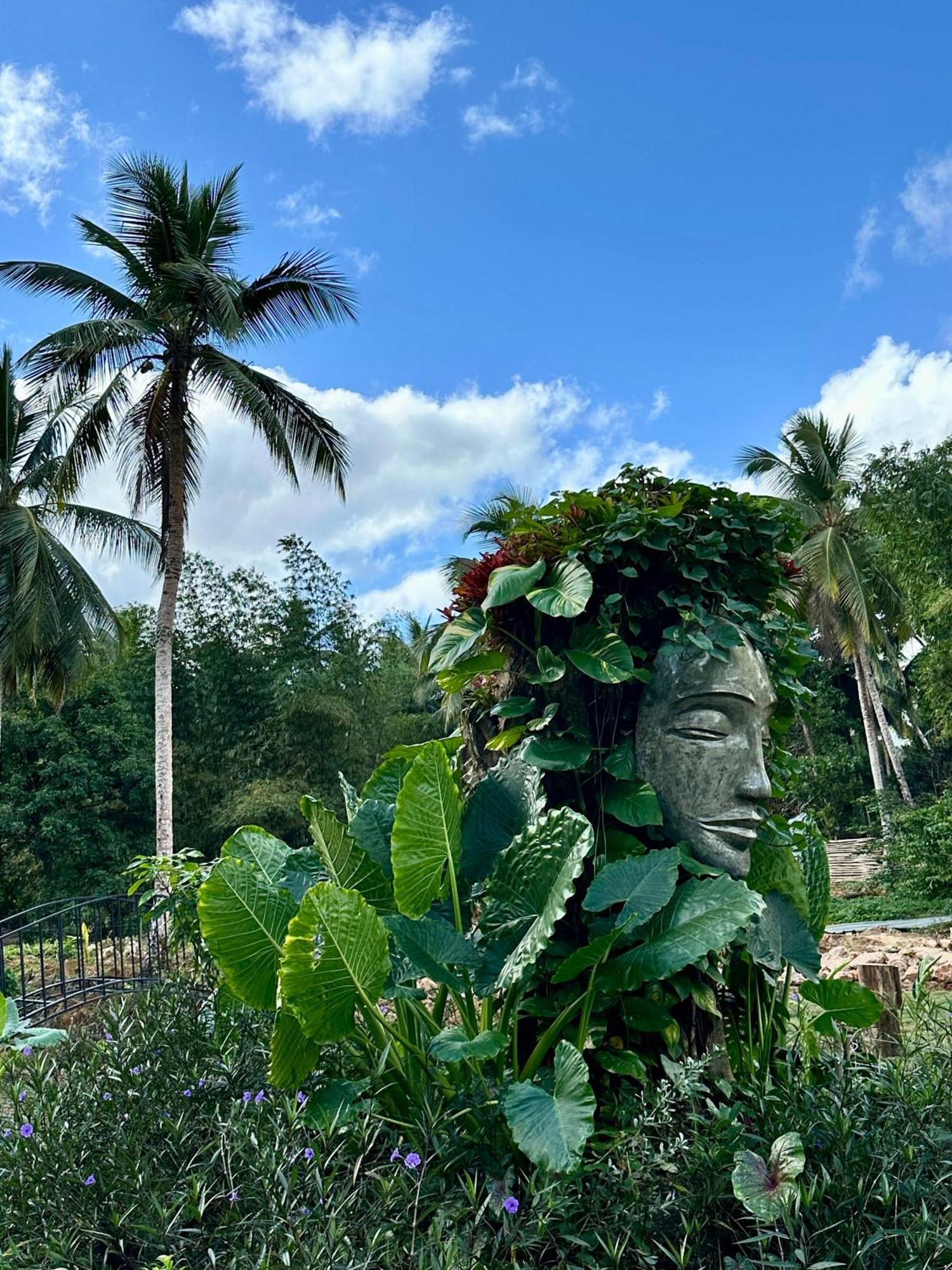 Leisy'S Garden Hostel & Rooms Samana 외부 사진
